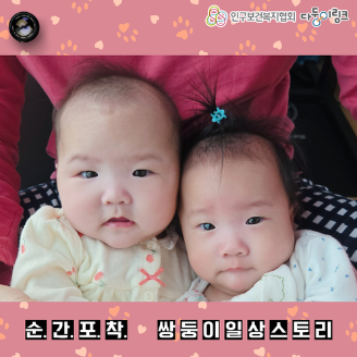 순간포착 쌍둥이 일상스토리 이벤트 선정작 세상에 하나뿐인 단짝
