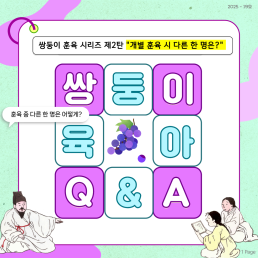 쌍둥이 육아 QA 쌍둥이 훈육 시리즈 2탄 개별 훈육 시 다른 한 명은