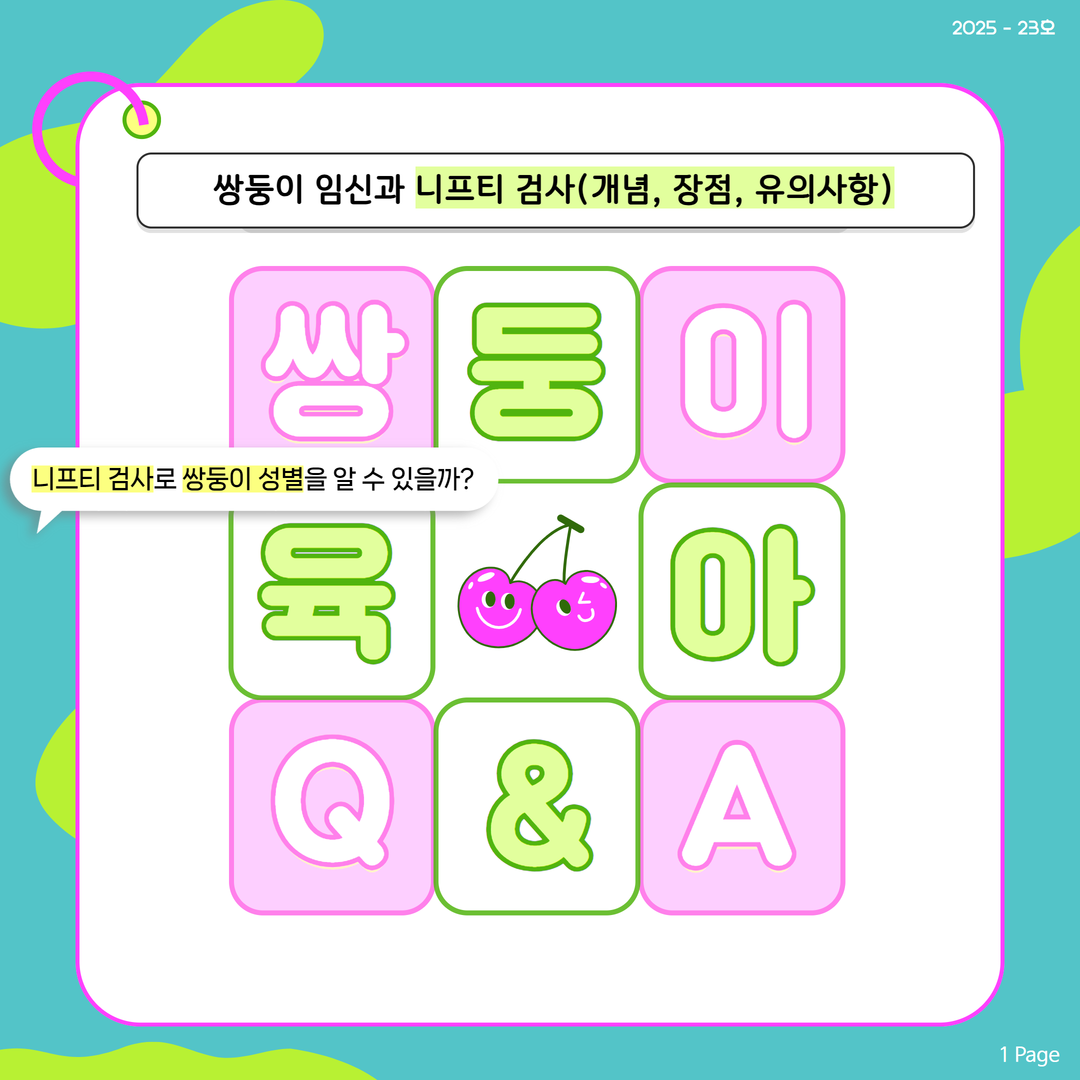 쌍둥이 임신과 니프티 검사개념 장점 유의사항