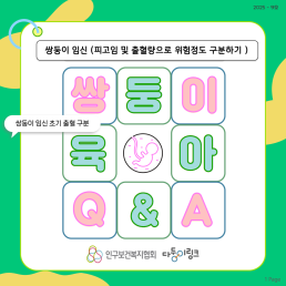 쌍둥이 임신QA 쌍둥이 임신피고임 및 출혈으로 위험정도 구분하기