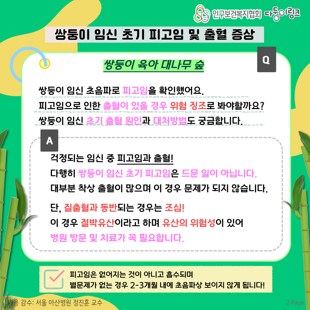 쌍둥이 임신 초기 피고임 및 출혈 증상