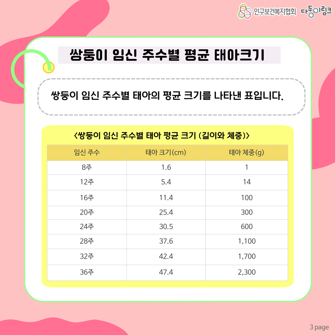 쌍둥이 임신 주수별 태아 평균 크기