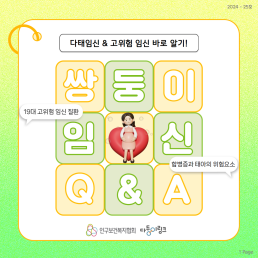 쌍둥이 QA