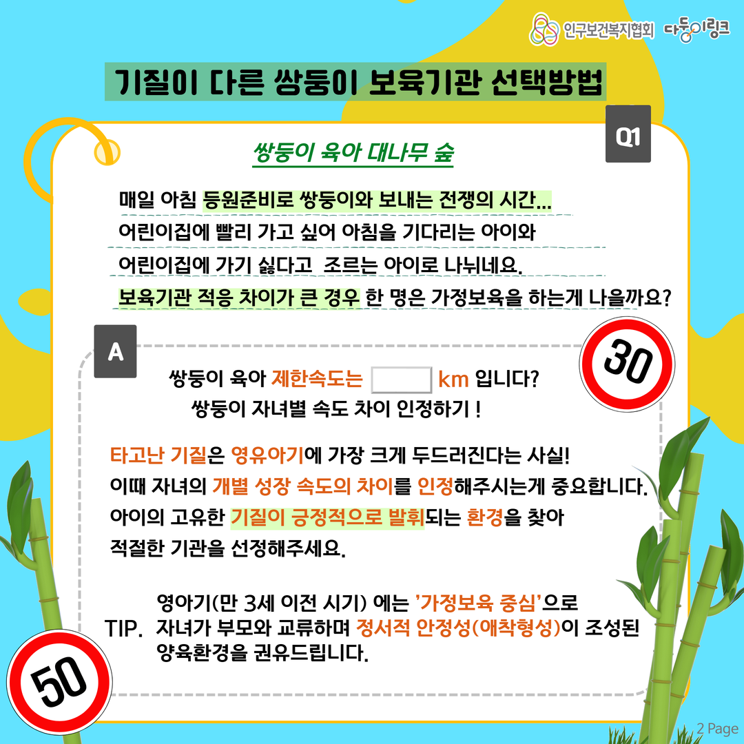 쌍둥이 대나무 숲 쌍둥이 보육기관 선택방법