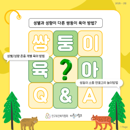 육아QA 성별과 성향이 다른 쌍둥이 육아방법
