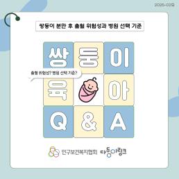 쌍둥이 분만 후 출혈 위험성과 병원 선택 기준 