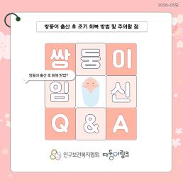 쌍둥이 출산 후 조기 회복 방법 및 주의할 점