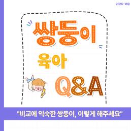 비교에 익숙한 쌍둥이 이렇게 해주세요 