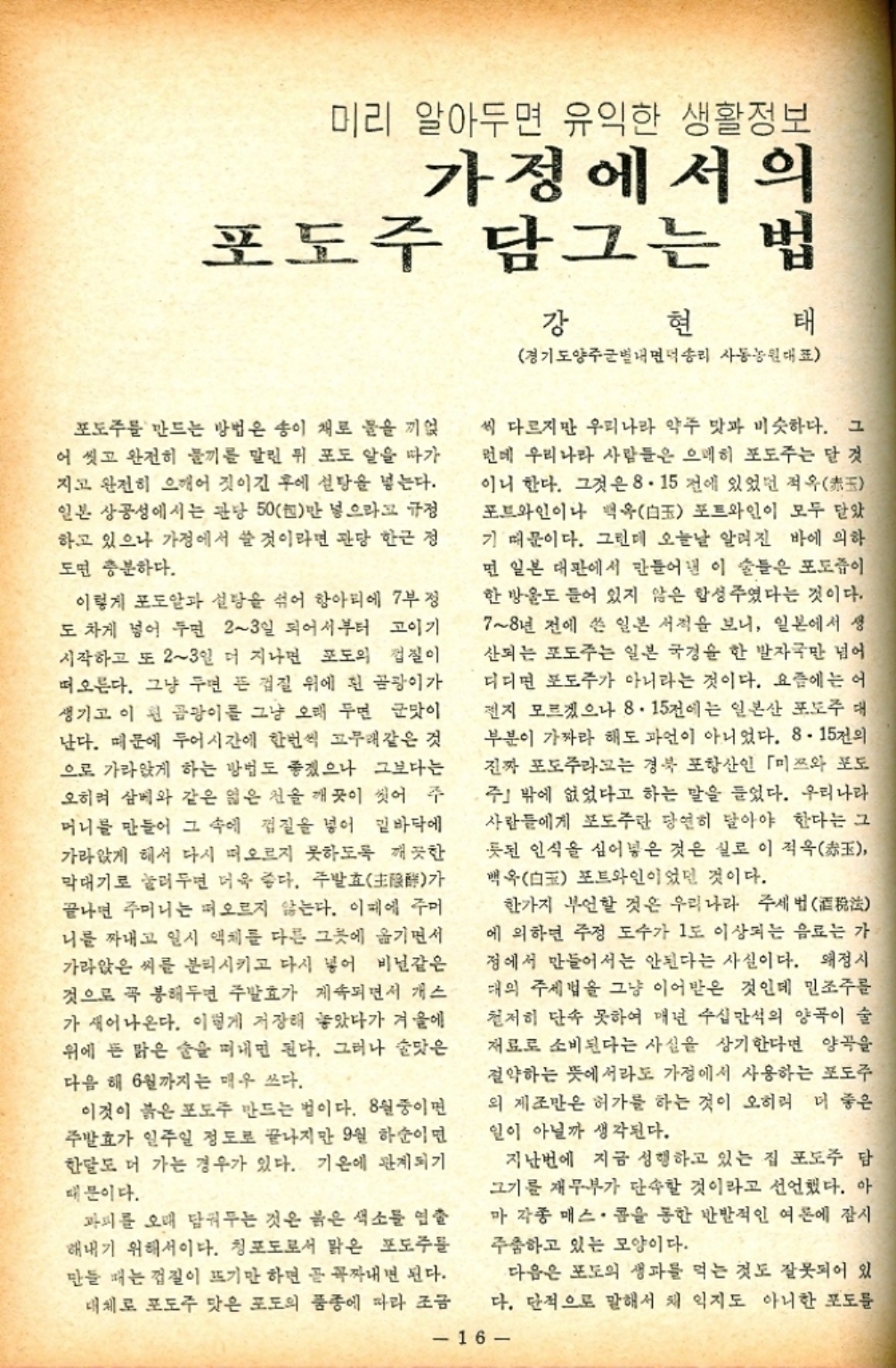 ﻿  미리 알아두면 유익한 생활정보 가정에서의 포도주 담그는 법 강 현 태 경기도양주별내면덕송리 사동농원대표 포도주를 만드는 방법은 송이 채로 물을 끼얹 어 씻고 완전히 물기를 말린 뒤 포도 알을 따가 지고 완전히 으깨어 짓이긴 후에 설탕을 넣는다. 일본 상공성에서는 관당 50천만 넣으라고 규정 하고 있으나 가정에서 쓸 것이라면 관당 한근 정 도면 충분하다. 이렇게 포도알과 설탕을 섞어 항아리에 7부 정 도 차게 넣어 두면 23일 되어서부터 고이기 시작하고 또 23일 더 지나면 포도의 껍질이 떠오른다. 그냥 두면 뜬 껍질 위에 흰 곰팡이가 생기고 이 된 곰팡이를 그냥 오래 두면 군맛이 난다. 때문에 두어시간에 한번씩 고무래같은 것 으로 가라앉게 하는 방법도 좋겠으나 그보다는 오히려 삼베와 같은 얇은 천을 깨끗이 씻어 주 머니를 만들어 그 속에 껍질을 넣어 밑바닥에 가라앉게 해서 다시 떠오르지 못하도록 깨끗한 막대기로 눌러두면 더욱 좋다. 주발효主가 끝나면 주머니는 떠오르지 않는다. 이때에 주머 니를 짜내고 일시 액체를 다른 그릇에 옮기면서 가라앉은 씨를 분리시키고 다시 넣어 비닐같은 것으로 꼭 봉해두면 발효가 계속되면서 개스 가 새어나온다. 이렇게 저장해 놓았다가 겨울에 위에 든 맑은 술을 떠내면 된다. 그러나 술맛은 다음 해 6월까지는 매우 쓰다. 이것이 붉은 포도주 만드는 법이다. 8월중이면 주발효가 일주일 정도로 끝나지만 9월 하순이면 한달도 더 가는 경우가 있다. 기온에 관계되기 때문이다. 씩 다르지만 우리나라 약주 맛과 비슷하다. 그 런데 우리나라 사람들은 으메히 포도주는 달 것 이니 한다. 그것은 8.15 전에 있었던 적옥玉 포트와인이나 백옥玉 포트와인이 모두 닫았 기 때문이다. 그런데 오늘날 알려진 바에 의하 면 일본 대판에서 만들어낸 이 술들은 포도즙이 한 방울도 들어 있지 않은 합성주였다는 것이다. 78년 전에 쓴 일본 서적을 보니 일본에서 생 산되는 포도주는 일본 국경을 한 발자국만 넘어 디디면 포도주가 아니라는 것이다. 요즘에는 어 전지 모르겠으나 8.15전에는 일본산 포도주 대 부분이 가짜라 해도 과언이 아니었다. 8. 15의 진짜 포도주라고는 경북 포항산인 「미쯔와 포도 주」 밖에 없었다고 하는 말을 들었다. 우리나라 사람들에게 포도주란 당연히 달아야 한다는 그 릇된 인식을 심어넣은 것은 실로 이 적옥玉 백옥 포트와인이었던 것이다. 한가지 부인할 것은 우리나라 주세법 에 의하면 주정 도수가 1도 이상되는 음료는 가 정에서 만들어서는 안된다는 사실이다. 왜정시 대의 주세법을 그냥 이어받은 것인데 민조주를 철저히 단속 못하여 매년 수십만석의 양곡이 술 재료로 소비된다는 사실을 상기한다면 양곡 절약하는 뜻에서라도 가정에서 사용하는 포도주 의 제조만은 허가를 하는 것이 오히려 더 좋은 일이 아닐까 생각된다. 지난번에 지금 성행하고 있는 집 포도주 담 그기를 재무부가 단속할 것이라고 선언했다. 아 마 각종 매스콤을 통한 반발적인 여론에 잠시 주춤하고 있는 모양이다. 다음은 포도의 생파를 먹는 것도 잘못되어 있 파피를 오래 담궈두는 것은 붉은 색소를 연출 해내기 위해서이다. 청포도로서 맑은 포도주를 만들 때는 껍질이 뜨기만 하면 곧 꼭짜내면 된다. 대체로 포도주 맛은 포도 품종에 따라 조금 다. 단적으로 말해서 채 익지도 아니한 포도를 16