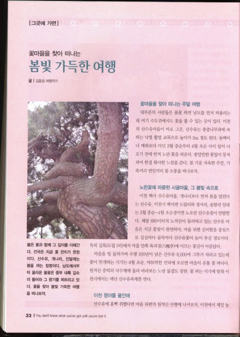 그곳에 가면 꽃마을을 찾아 떠나는 봄빛 가득한 여행  글  김동정 여행작가   봄은 꽃과 함께 그 깊이를 더해간 다. 전국은 지금 꽃 잔치가 한창이다. 산수유 개나리 진달래는 봄을 여는 첨병이다. 남도에서부 터 올라온 봄꽃은 중부 내륙 깊숙 이 들어와 그 향기를 퍼트리고 있 다. 꽃을 찾아 봄빛 가득한 여행 을 떠나보자. 꽃마을을 찾아 떠나는 주말 여행 대부분의 사람들은 봄꽃 하면 남도를 먼저 떠올리는 데 여기 수도권에서도 꽃을 볼 수 있는 곳이 있다. 이천 의 산수유마을이 바로 그곳. 산수유는 층층나무과에 속 하는 낙엽 활엽교목으로 높이가 3m 정도 된다. 동백이 나 매화보다 더딘 3월 중순부터 4월 초순 사이 잎이 나 오기 전에 먼저 노란꽃을 피운다. 콩알만한 꽃잎이 뭉쳐 피어 한결 화사한 느낌을 준다. 봄 기운 자욱한 주말 가 족끼리 연인끼리 꽃 소풍을 떠나보자. 노란꽃에 파묻힌 시골마을 그 봄빛 속으로 이천 백사 산수유마을. 개나리보다 먼저 봄을 알린다는 산수유. 이천시 백사면 도립리와 경사리 송말리 일대 는 3월 중순4월 초순경이면 노오란 산수유꽃이 만발한 다. 해발 680미터의 노적산이 둘러싸고 있는 산수유 마 을은 지금 봄빛이 완연하다. 마을 뒤편 산비탈을 중심으로 집집마다 골목마다 산수유꽃이 눈이 부실 정도이다. 특히 길목도립 1리에서 마을 안쪽 육괴정에 이르는 꽃길이 아름답다. 마을을 빙 둘러가며 수령 100년이 넘은 산수유 8000여 그루가 자라고 있는데 꽃이 만개하는 시기는 4월 초순 야트막한 언덕에 오르면 마을이 온통 꽃 바다다. 원적산 중턱의 낙수재에 올라 바라보는 노랑 물결도 장관 꽃 피는 시기에 맞춰 이 천시에서는 매년 산수유축제를 연다. 이천 평야를 품안에  산수유에 흠뻑 취했다면 마을 뒤편의 원적산 산행에 나서보자. 이천에서 제일 높 