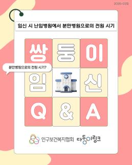 쌍둥이 임신 QA