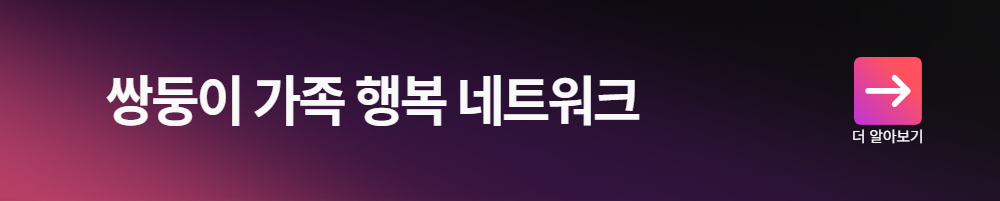 쌍둥이 가족 행복 네트워크 (6대분야 네트워크 구축) 더 알아보기
